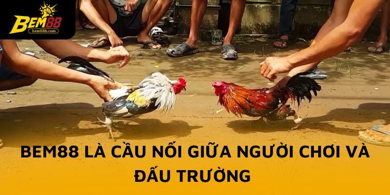 BEM88 là cầu nối giữa người hâm mộ và đấu trường đỉnh cao