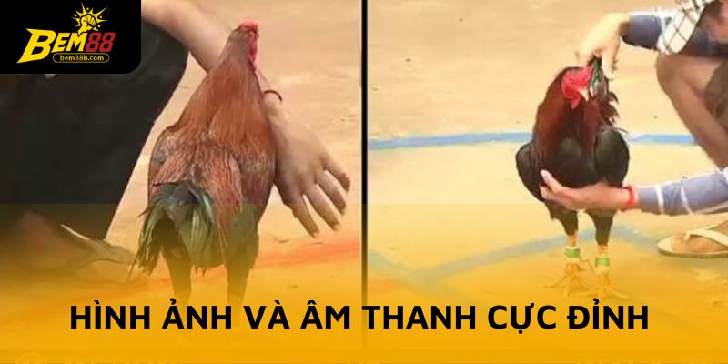 Chất lượng hình ảnh và âm thanh cực đỉnh như tại đấu trường thực