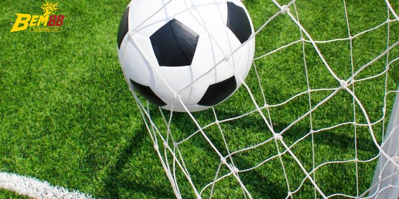 Điểm danh loại kèo bóng cỏ  được sử dụng nhiều hiện nay